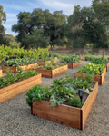 Remote Garden (w/ 24/7 Live Cam Access)