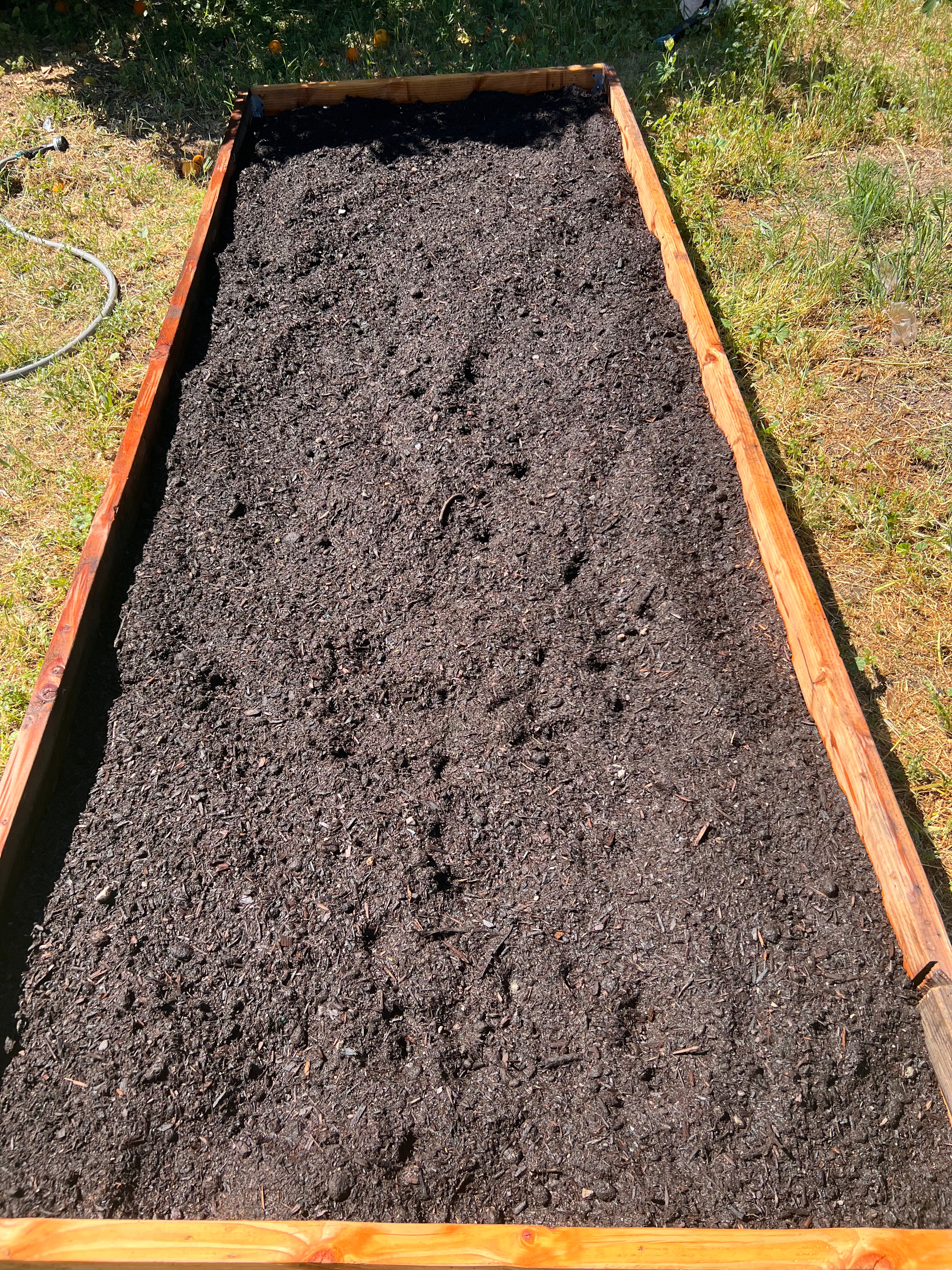 DIY Garden Plot (Grow It Yourself)