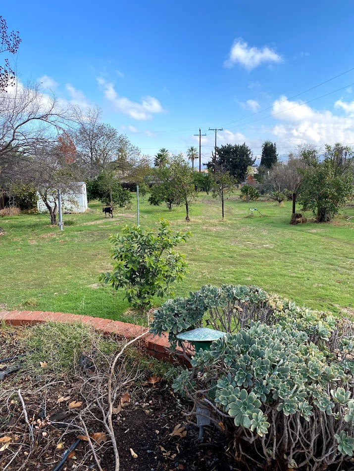 Remote Garden (w/ 24/7 Live Cam Access)