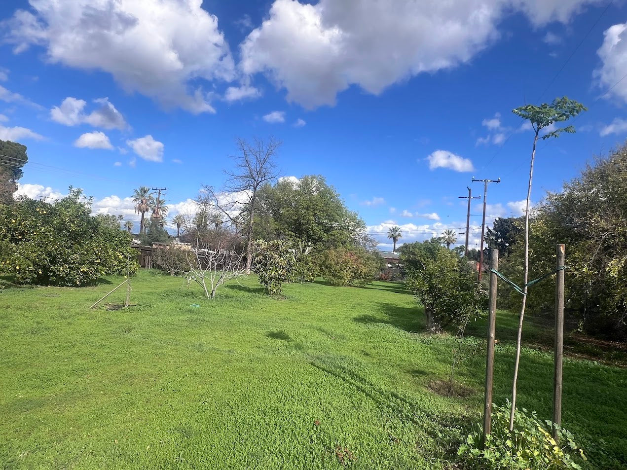 Remote Garden (w/ 24/7 Live Cam Access)